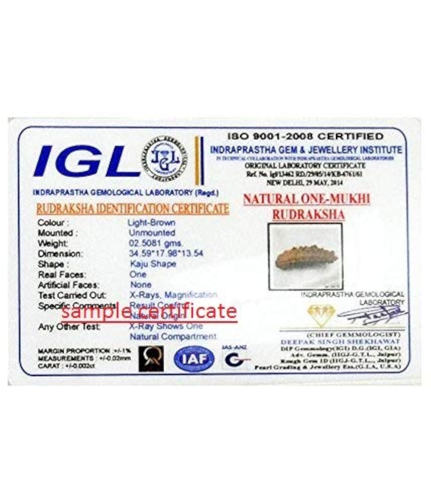 1 Mukhi Original Nepal Rudraksha, Lab Certified